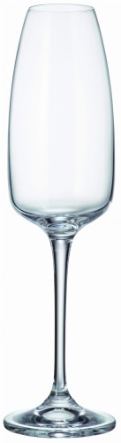 Kieliszek R do szmpana 290 ml.jpg