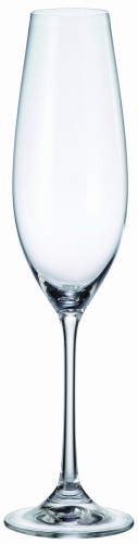 C Champagne Flute 260 ml.jpg